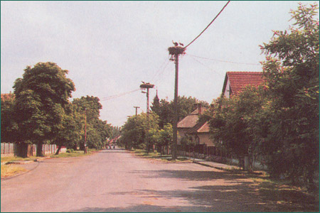 20050228_130600